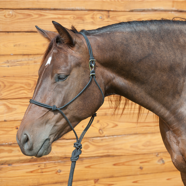 CLASSIC EQUINE ADJUSTABLE ROPE HALTER AND LEADROPE