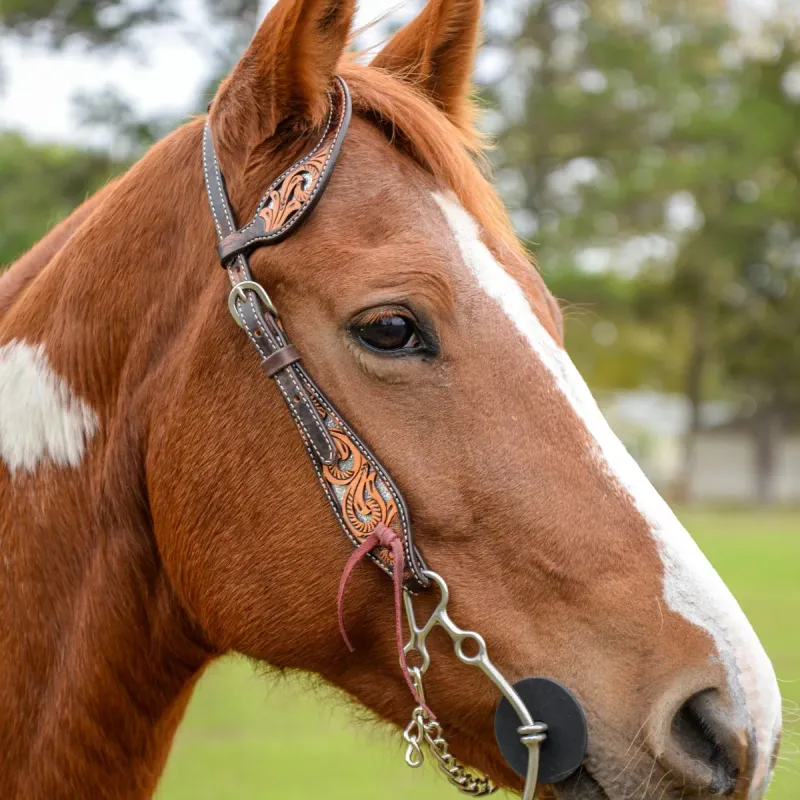 CIRCLE Y GLITTERS IN MOTION ONE EAR HEADSTALL