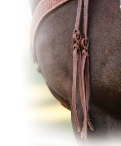 PROFESSIONAL'S CHOICE POPPER TAIL HEAVY OILED SPLIT REINS