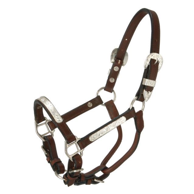ROYAL KING SILVER BAR PONY SHOW HALTER