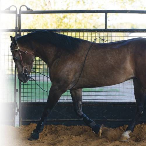 PROFESSIONAL'S CHOICE LUNGING BUDDY