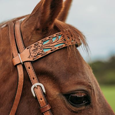 CIRCLE Y CARICO BROWBAND HEADSTALL