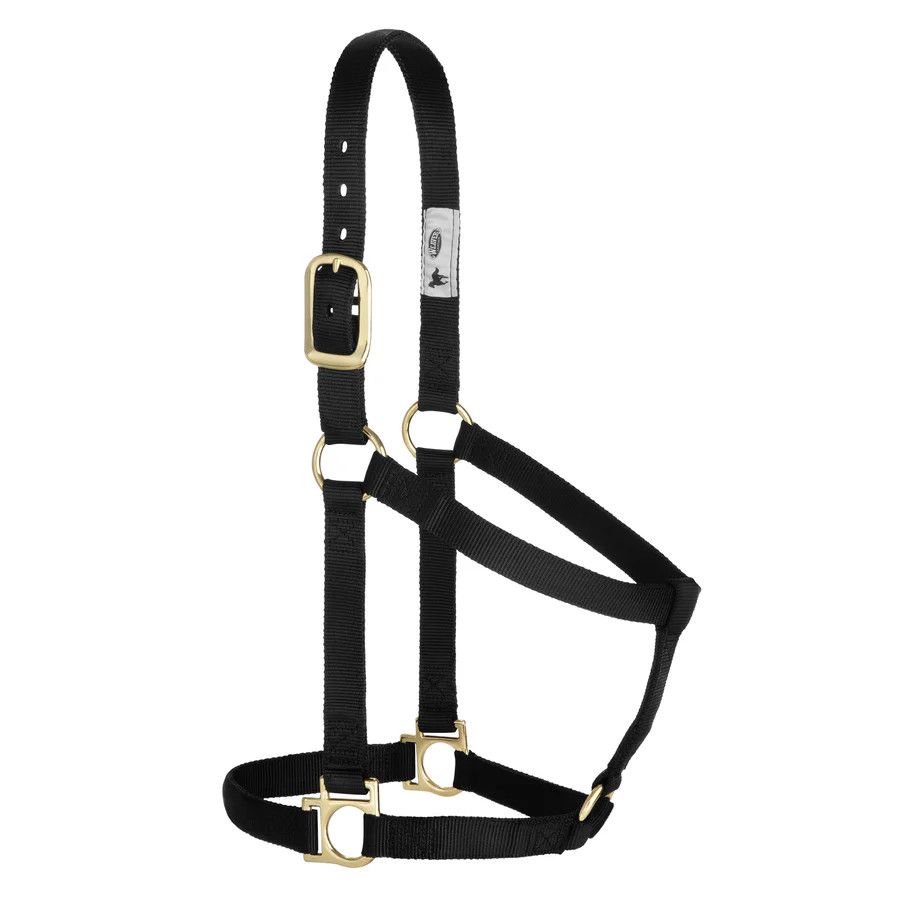 WEAVER BASIC NON-ADJUSTABLE HALTER