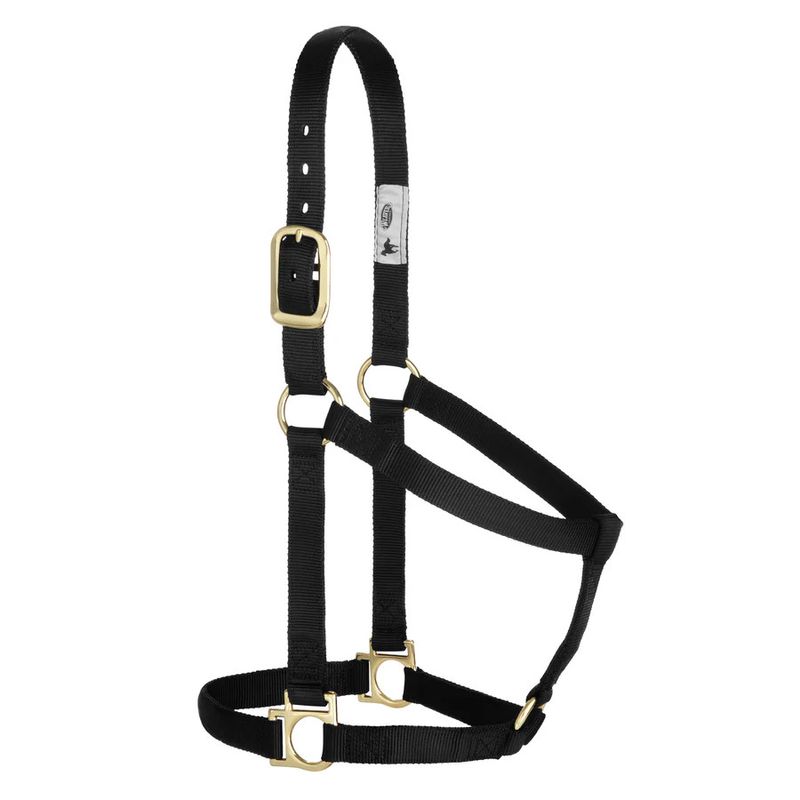 WEAVER BASIC NON-ADJUSTABLE HALTER