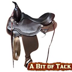 17" Circle Y Daisetta Cordura Trail Saddle - Regular
