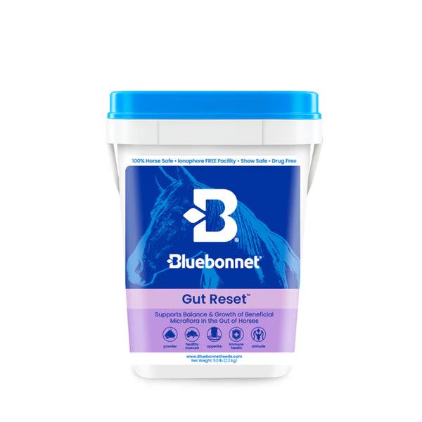 BLUEBONNET GUT RESET™ POWDER