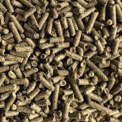 BLUEBONNET GASTRO pHIX™