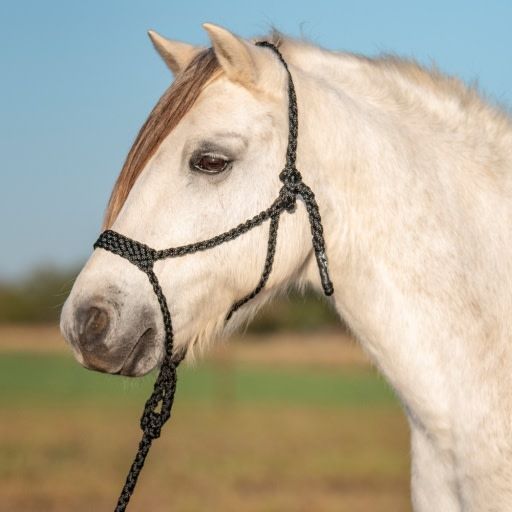 CASHEL FLAT BRAID PONY HALTER
