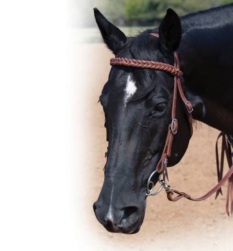 PROFESSIONAL'S CHOICE 5/8" BLEEDING HEART BROWBAND HEADSTALL