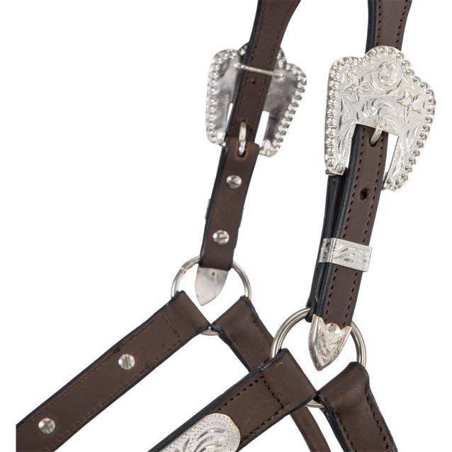 SILVER ROYAL SHOW HALTER WITH BERRY EDGE BUCKLES
