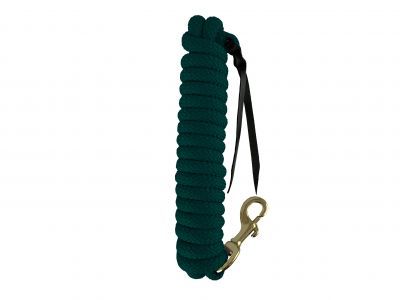 SHOWMAN 14' LEATHER END NYLON PRO BRAID TRAINING LEAD