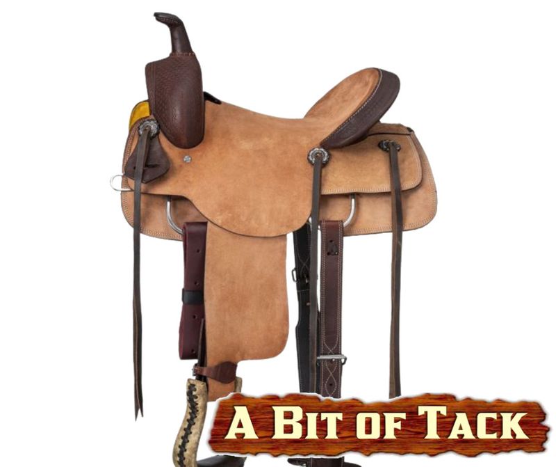 15" Sparks All Around Saddle