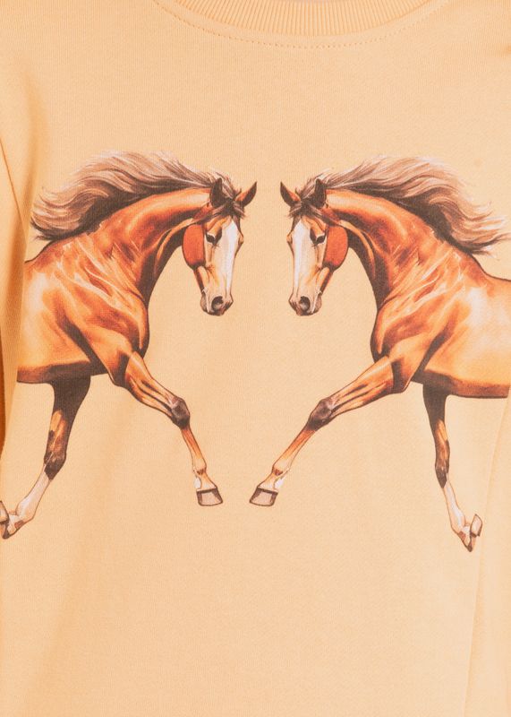 ROCK &amp; ROLL HORSE PULLOVER