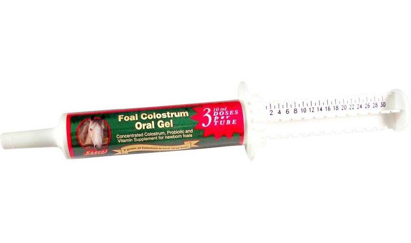 FOAL COLOSTRUM ORAL GEL [30 ML TUBE]