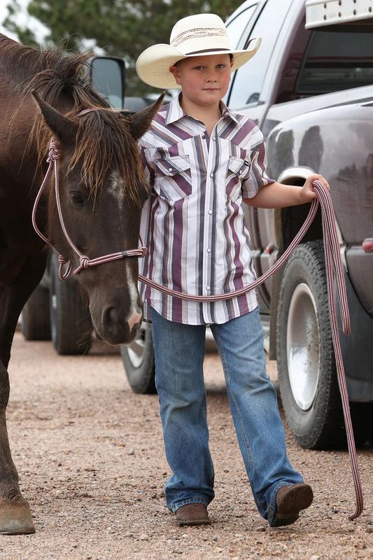 CINCH STRIPED SHORT SLEEVE SNAP SHIRT