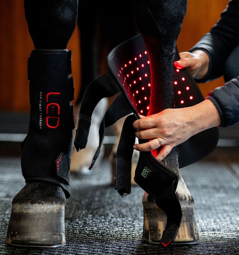 HORSEWARE® LED RED LIGHT THERAPY LEG WRAP (PAIR)