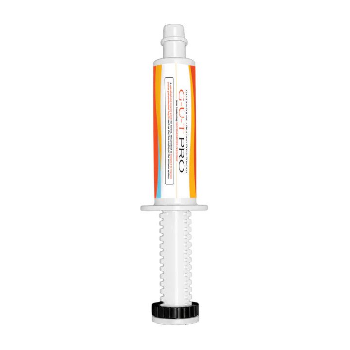 GUT PRO 60CC (2 DOSES)