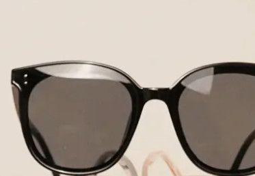 Oversized Butterfly Sunglasses