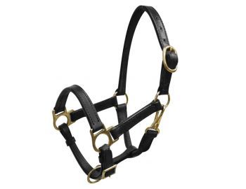LEATHER HALTER WITH BRASS HARDWARE