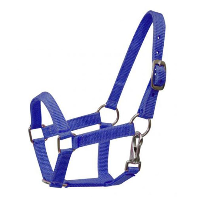 SHOWMAN NYLON HALTER WITH THROATLATCH SNAP