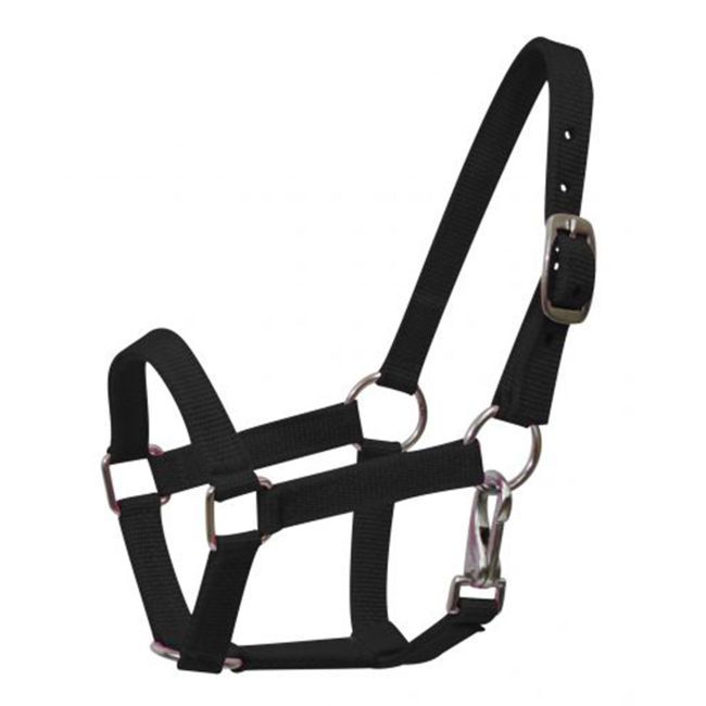 SHOWMAN PONY NYLON HALTER WITH THROATLATCH SNAP