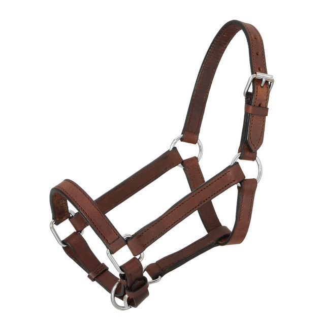 TOUGH 1 MINI LEATHER HALTER