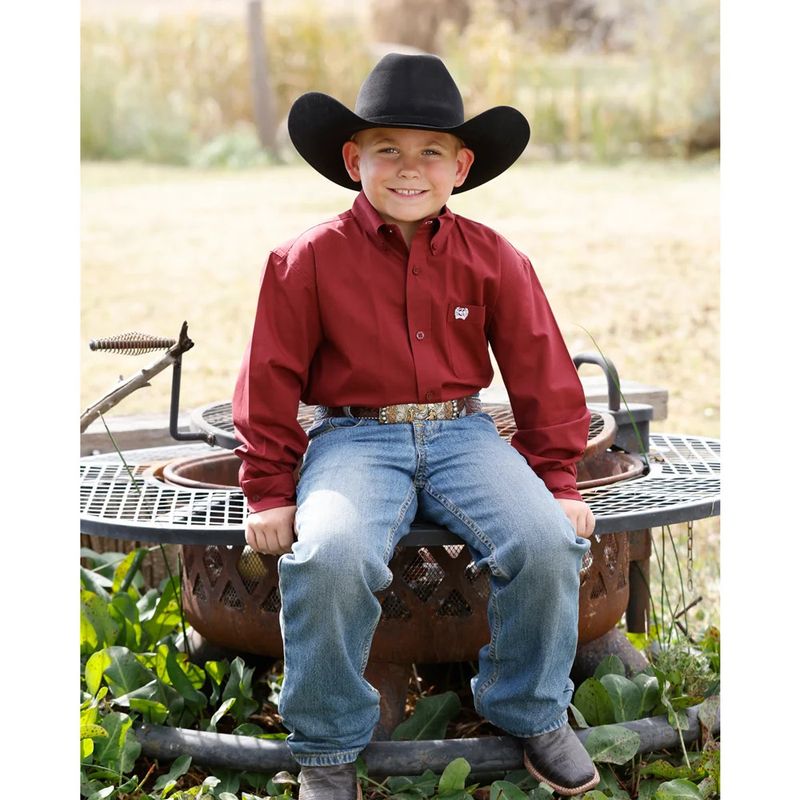 CINCH STRIPE LONG SLEEVE WESTERN SHIRT