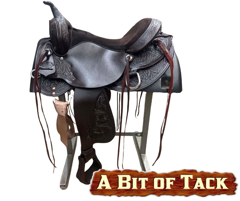 16" Circle Y Oyster Creek Trail Saddle - Regular