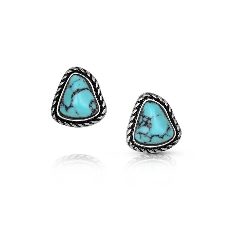 MONTANA SILVERSMITHS DAKOTA SKIES POST EARRINGS