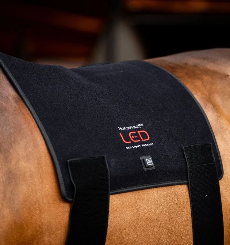 HORSEWARE LED RED LIGHT THERAPY PAD