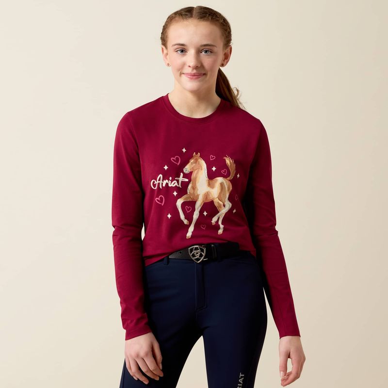 ARIAT PAINTED DREAM SHIRT