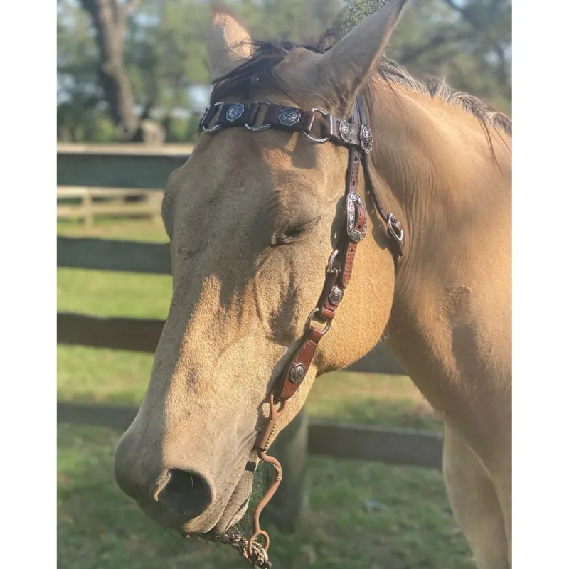 DOUBLE J SADDLERY BROWBAND HEADSTALL WITH CONCHOS