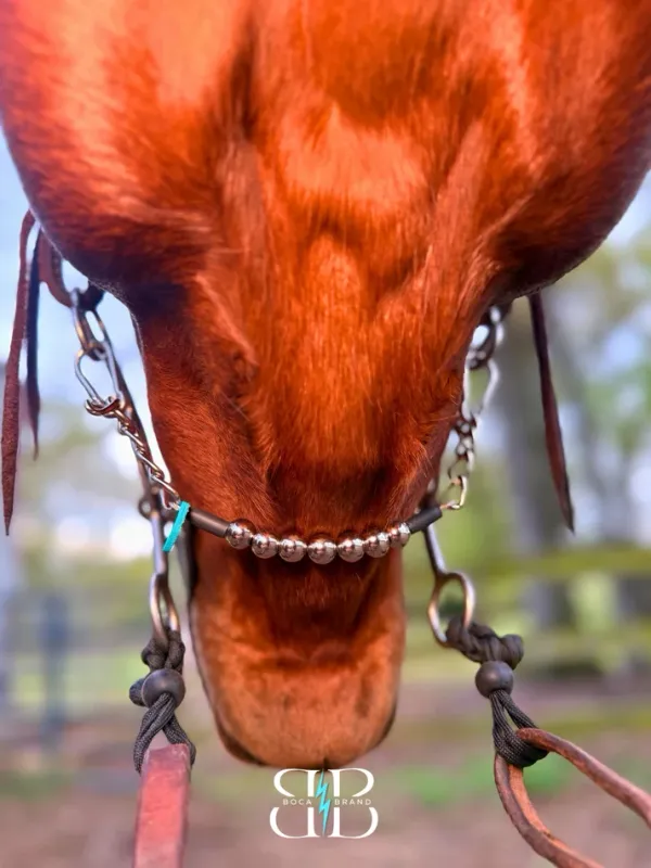 BOCA B-LINE ON CHAIN