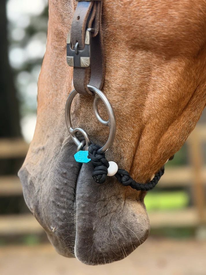 BOCA BIT HOBBLE