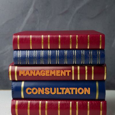 Operational Management Consultation
