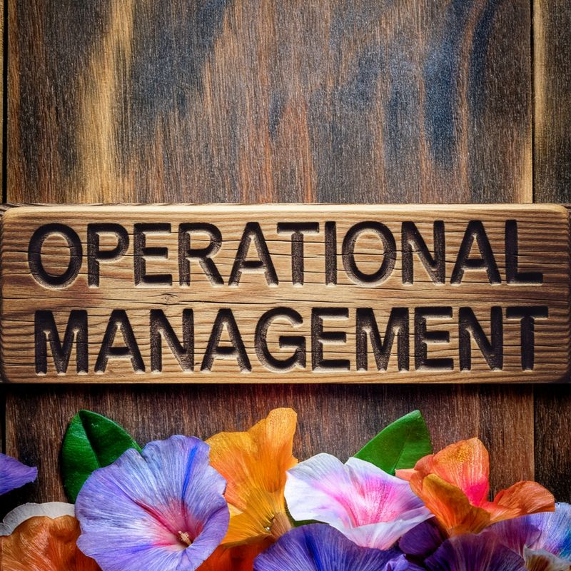 Operational Management Services