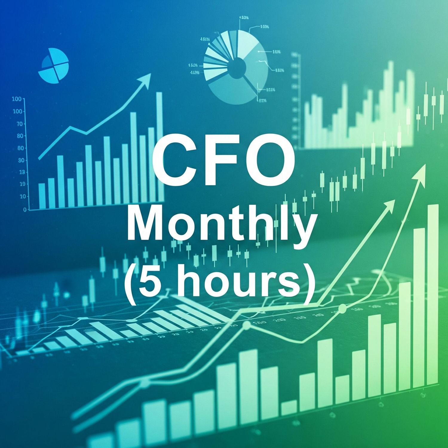 Chief Financial Officer (5 hours, per month)