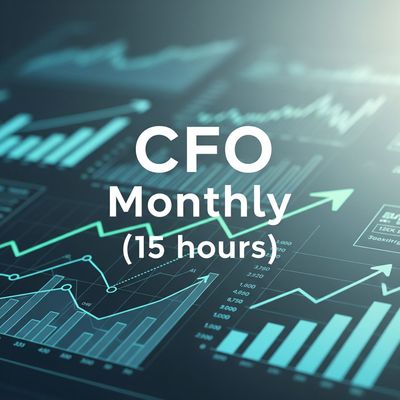 Chief Financial Officer (15 hours, per month)
