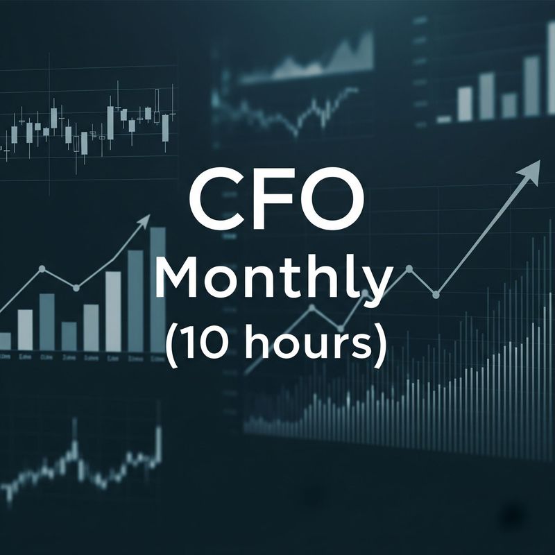 Chief Financial Officer (10 hours, per month) Chief Financial Officer (10 hours, per month)