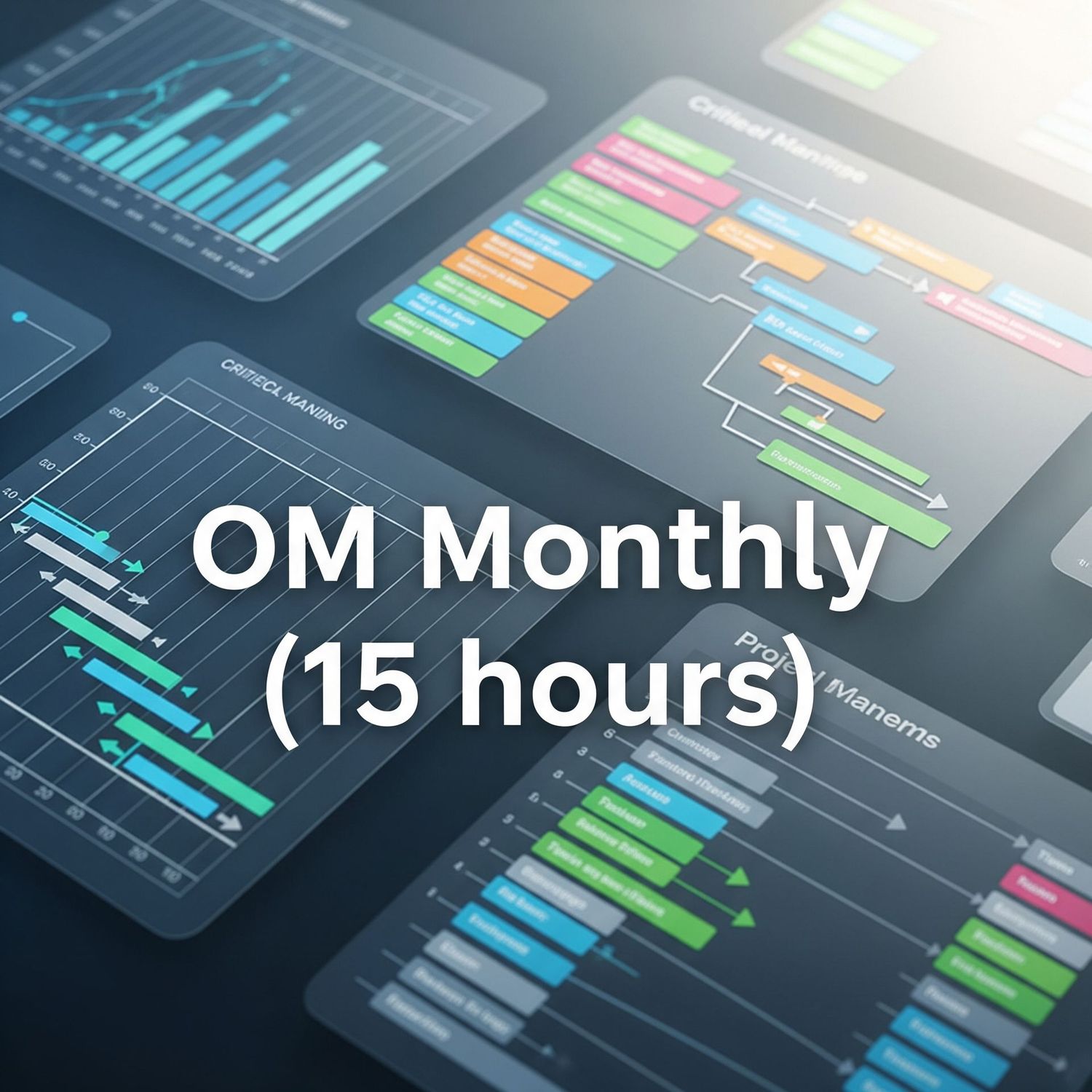 Operational Management (15 hours, per month)