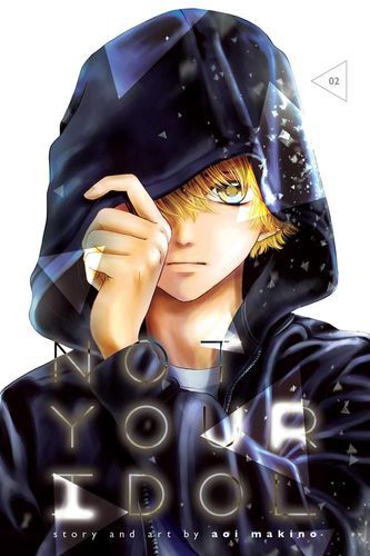 Not Your Idol, Vol. 2 (2)
