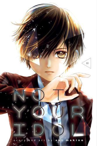 Not Your Idol, Vol. 1 (1)
