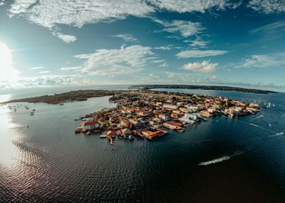 From Flores