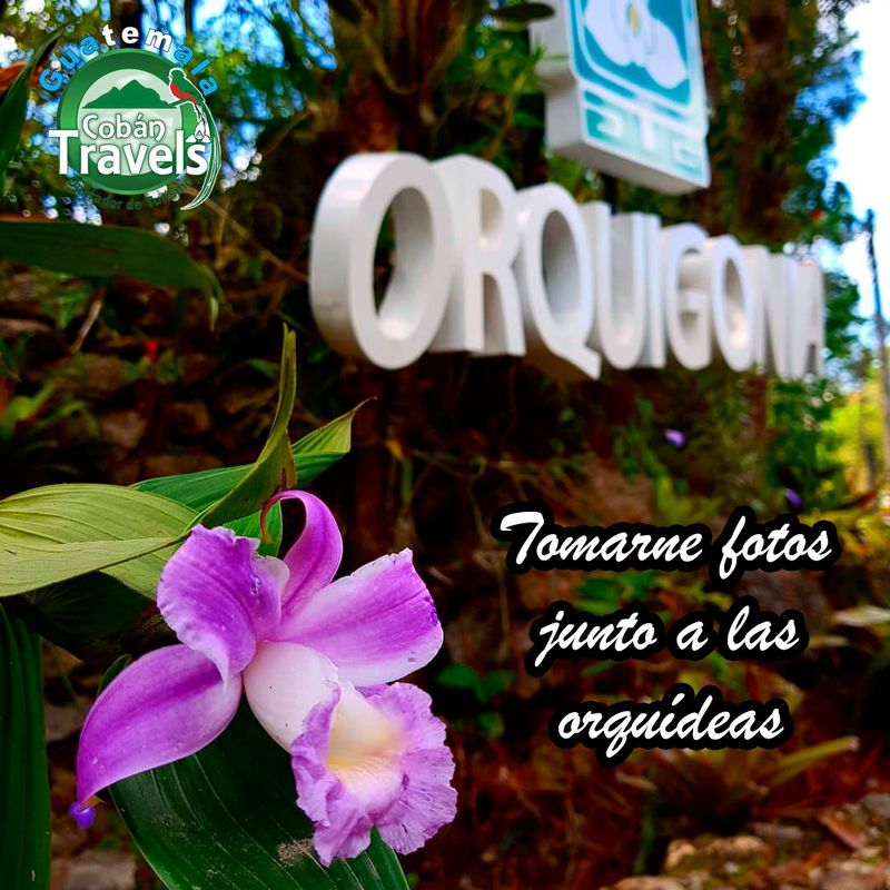 Orchid Tour