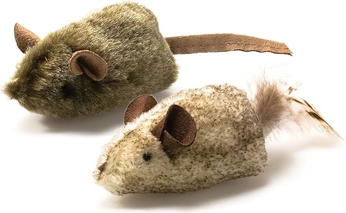 Cat play mice