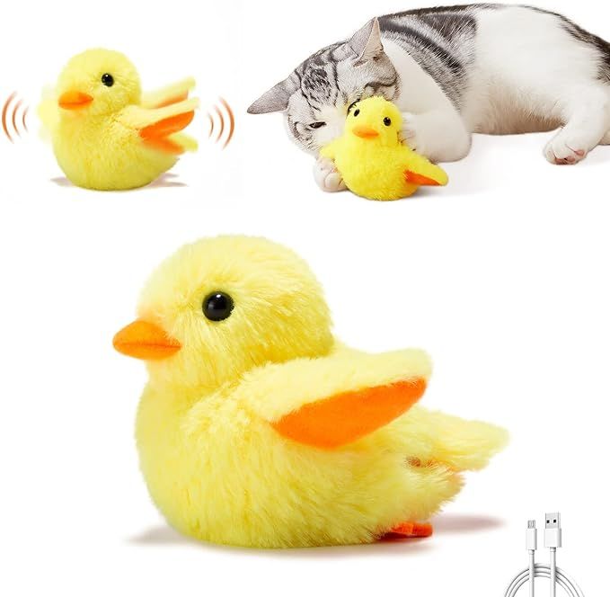 Cat toy