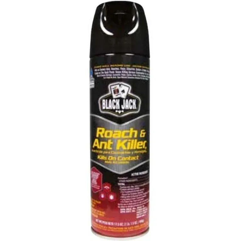 Black Jack Roach and ant - 17.5 oz