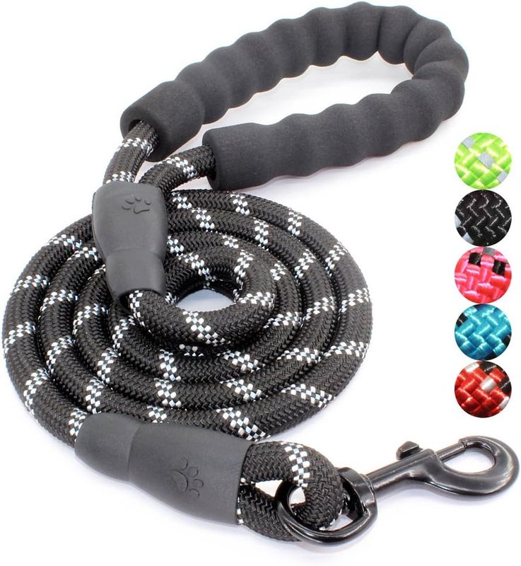 Dog leash #2
