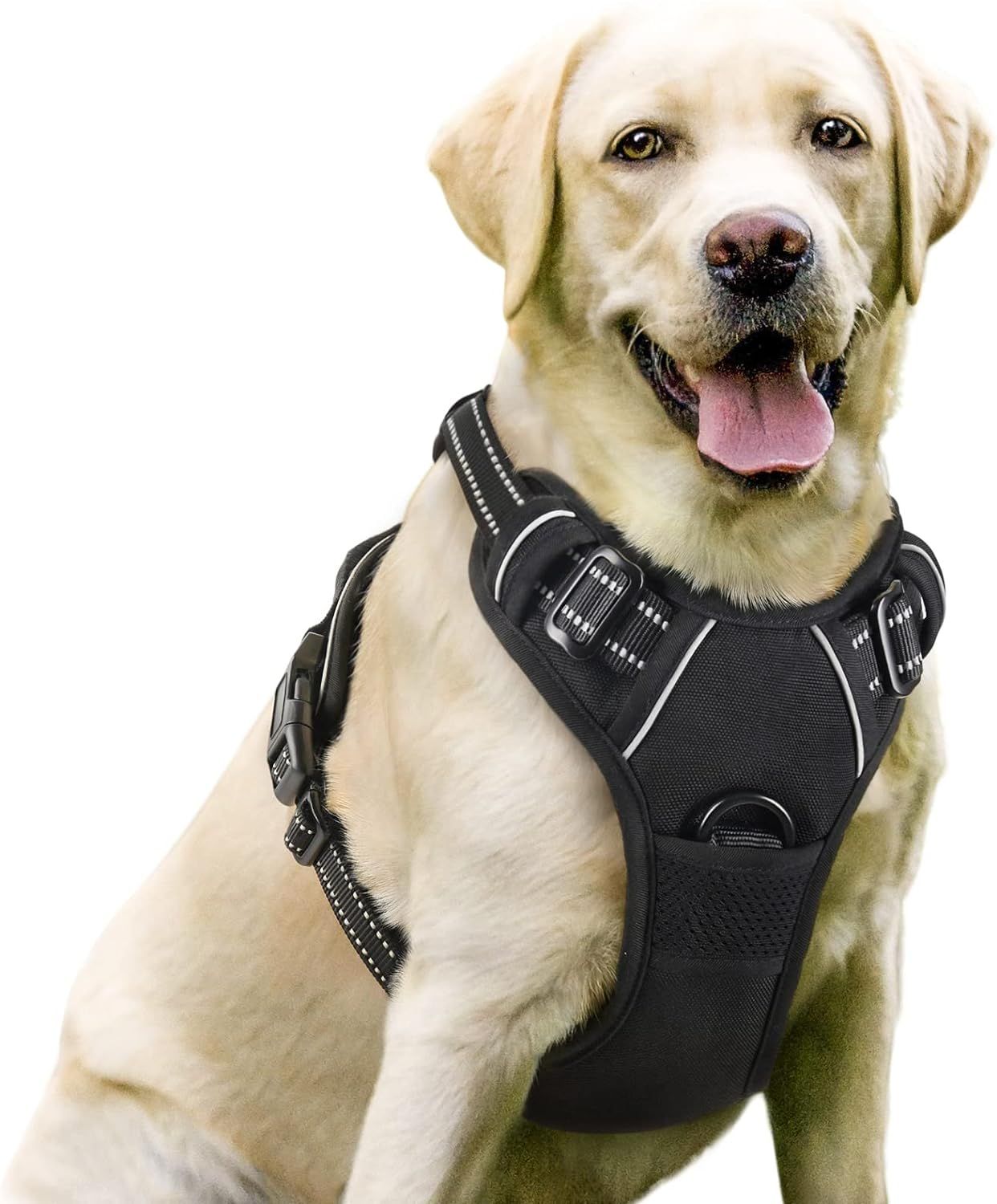 Dog harness
