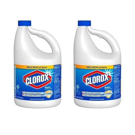 Clorox - 1 gallon